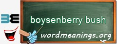 WordMeaning blackboard for boysenberry bush